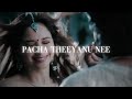 Pacha Theeyanu Nee Slowed Reverb