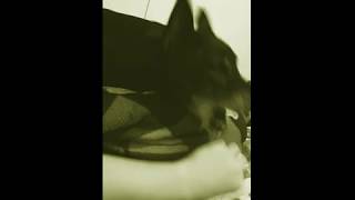 [實況] 3/24 衝擊10000分