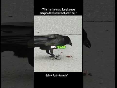 watu izzu mantasha watu zillu mantasha  #reels #viral #foryou #shortvideo nadan ko is baat ka allah