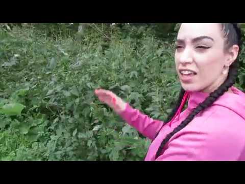 We Have Reached A Milestone .  !