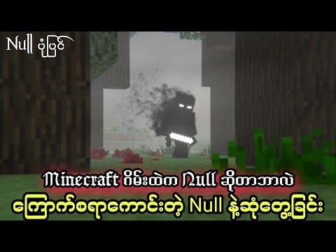 Horror Entertainment - Minecraft Null True Story about Null that appeared strangely beyond the game's parameters.