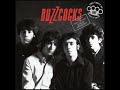 Last To Know: Buzzcocks (2004) The Complete Singles Anthology - The Voice of Oi! Punks'n'Skins Last To Know: Buzzcocks (2004) The Complete Singles Anthology