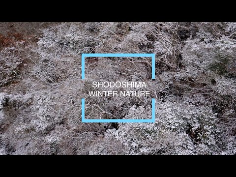 【小豆島町】冬の自然 WINTER NATURE