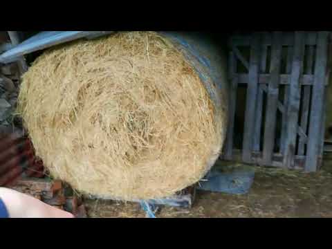 Welsh Farm Life #1- Feeding!!