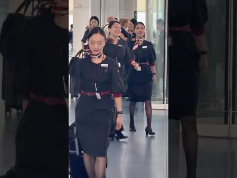 Japan Airlines Cabin Crew 日本航空 客室乗務員 空港スタッフらのスニーカーが解禁されました  #travel #cabincrew #jal #日本航空 #ニュース