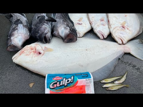 Big Fluke Half Day Party Boat Fishing RI July 2023