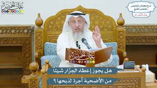 2973 - هل يجوز إعطاء الجزّار شيئاً من الأضحية أجرة لذبحها؟ - عثمان الخميس
