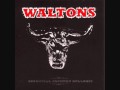 Waltons-If You Don't, Somebody Else Will - Jan Kocurek Waltons-If You Don't, Somebody Else Will