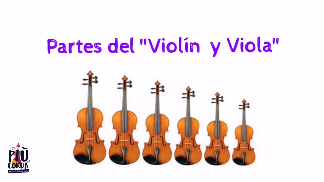Partes del violín y la viola