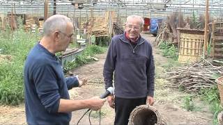 Rietvlechter Ad van Heist