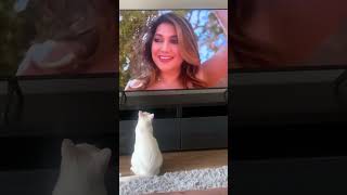 Download lagu Mommy’s On TV? #shorts mp3