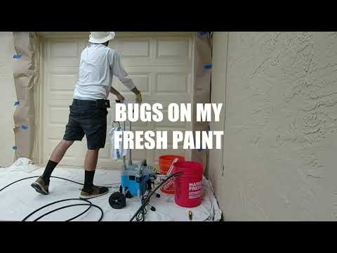 AIRLESS SPRAY DAY  - NINA'S GARAGE  - paint