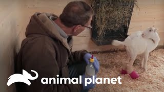 Thumbnail del capítulo