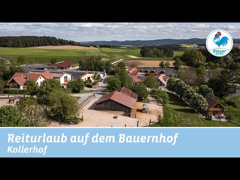 Urlaub mit Pferden auf dem Ferienhof | Reiturlaub am Kollerhof