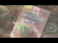 1996 Island Twists Strawberry Kiwi Kool Aid Commercial