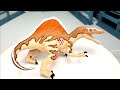 Jurassic Park III CamoXtreme Toys WATCH TILL END EXTREMELY RARE REPLICA PROTOTYPE OB TOYS REPAINT