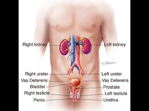 Stone syrup overview