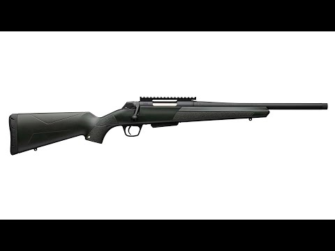 Feeds Extremely Reliably