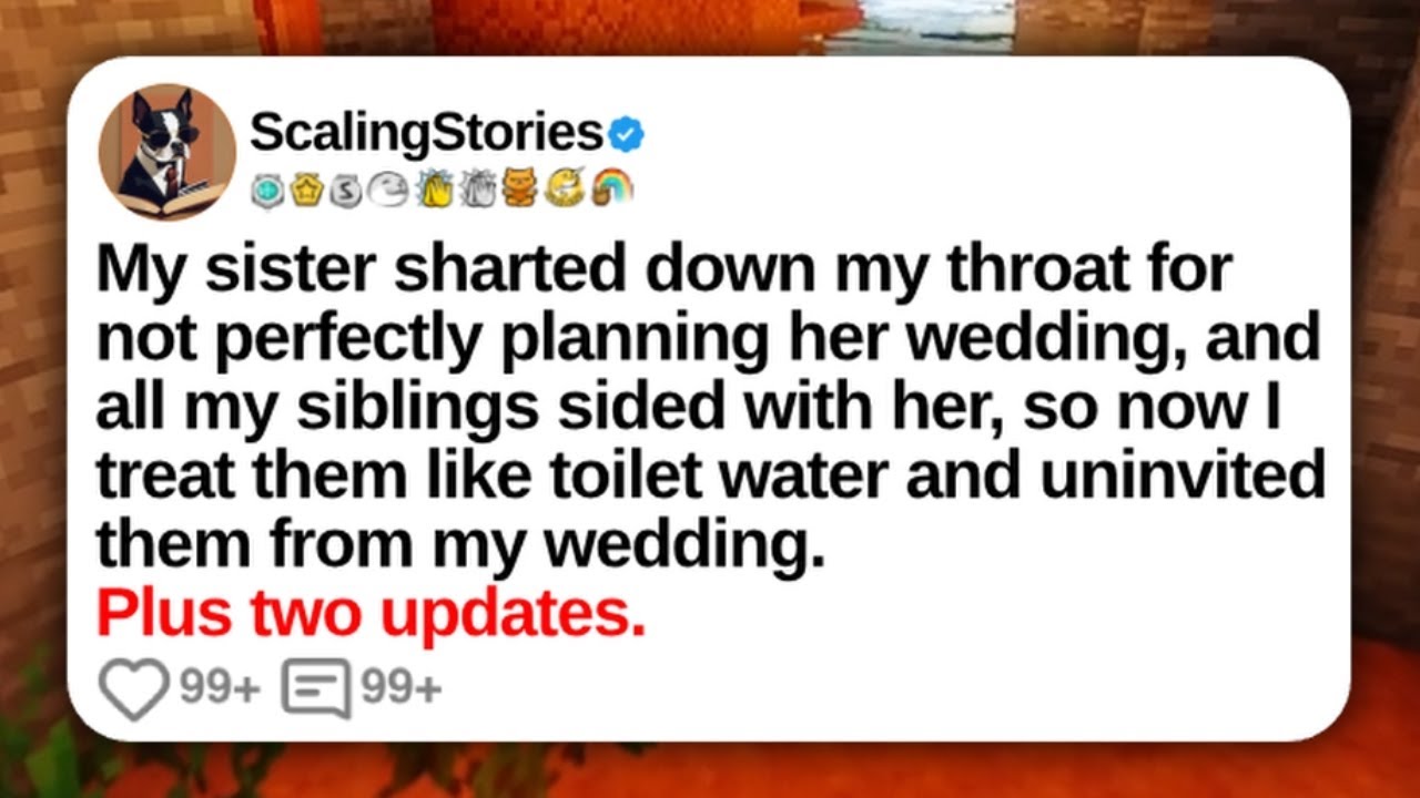 My Sister Berated Me for Not Perfectly Planning Her Wedding... | Reddit Updates