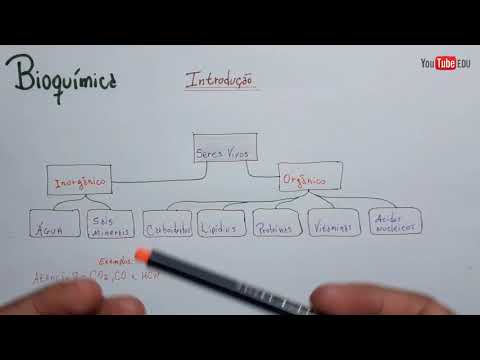 Bioquímica - compostos ORGÂNICOS e INORGÂNICOS | Introdução