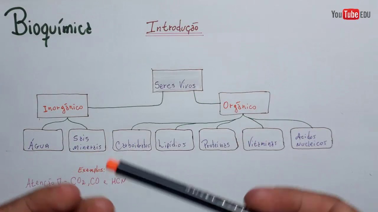 Bioquímica - compostos ORGÂNICOS e INORGÂNICOS | Introdução
