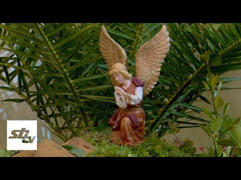 SBTV - DNEVNIK - SVETKOVINA BOGOJAVLJENJA – SVETA TRI KRALJA - 06.01.2020.