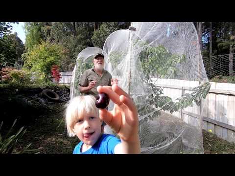 A YEAR in our GARDEN - The DRY begins! (December)