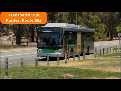 Transperth Bus Routes: Route 565
