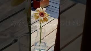 Guiano - 花火  #guiano