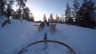 preview picture of video 'Adventures in Sunlight: Finnish Lapland'