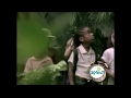 Sesame Street Safari Letter P