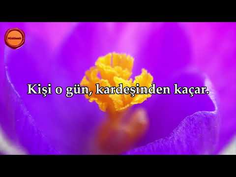 Abese Suresi - Nasser al Qatami