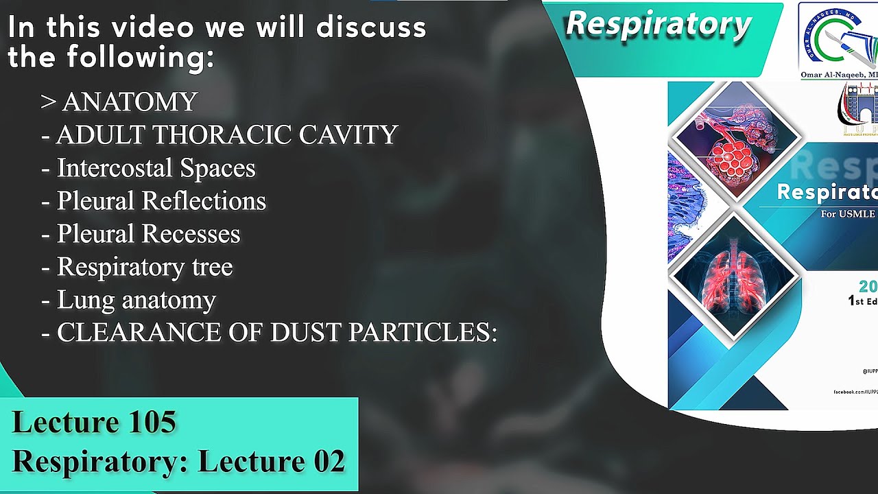 Thoracic cavity anatomy || Lung anatomy || Clearance of dust particles