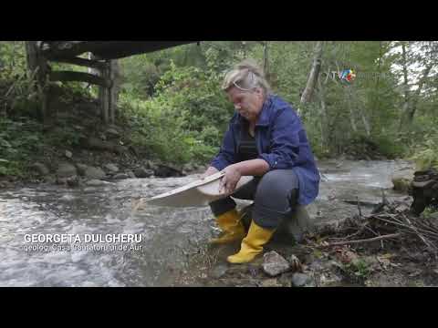 Brad: Georgeta Dulgheru cunoaște tehnica de spălare a aurului aluvionar #IstoriiAscunse @TVRTM