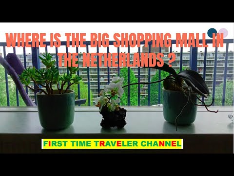 Makado Winkelcentrum in Alblasserdam| No Big Shopping Malls in Netherlands