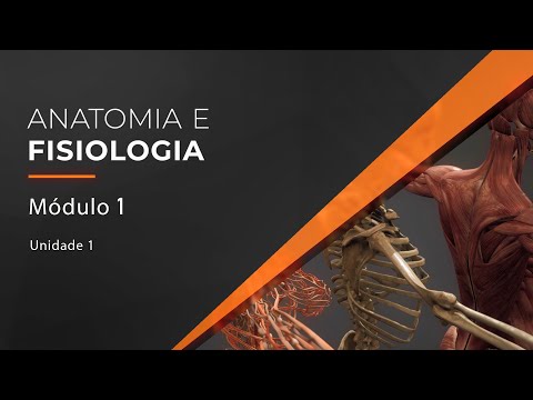Human Anatomy and Physiology