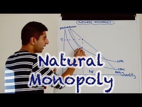 Y2 20) Natural Monopoly