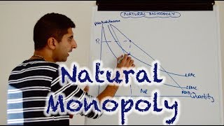 Y2 18) Natural Monopoly