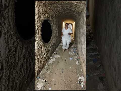 كسرت الفتاةُ رقبةَ العقرب.