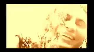 Exilia - Coincidence (Lyric Video)