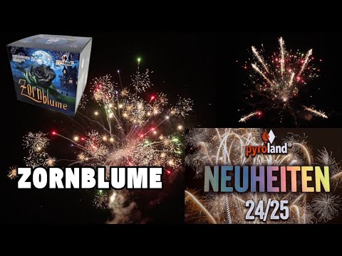 Zornblume - Neuheit 2024 von Pyroland