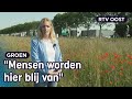 Hoe krijg je meer groen op industriegebied? | RTV Oost