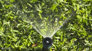 Pop-up & fixed spray sprinklers | Sprinkler types
