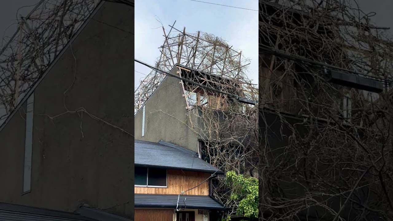 京都で遭遇した極めて不思議な戸建て物件