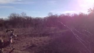 Wild Boar Bowhunting spot stalk