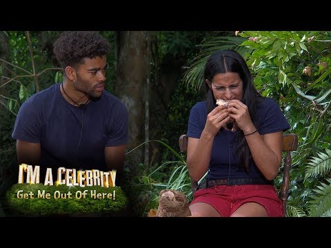 Watch lagu Images Videos Celebrity Jungle Diet, Watch Images Celebrity Jungle Diet free Watch, Watch Images Celebrity Jungle Diet