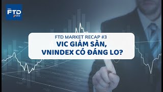 FTD Market Recap #3: VIC giảm sàn, Index có đáng lo ?