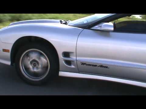 2004 COBRA VS 2002 TRANS AM WS6