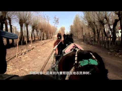 Plant 10,000 Trees in Northern China