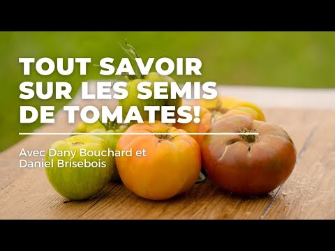 , title : 'Tout savoir sur les semis de tomates avec Dany Bouchard - Unis TV'